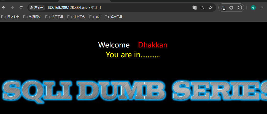 图片[3]-从零开始学SQL注入（sql十大注入类型）：技术解析与实战演练-泷羽Sec