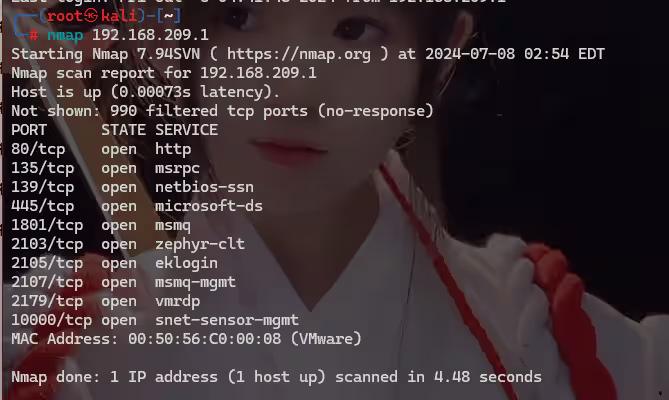 image-20240708154236299