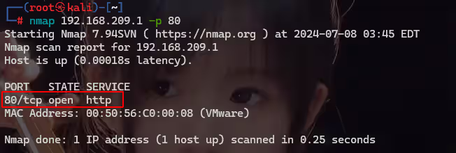 image-20240708154612266