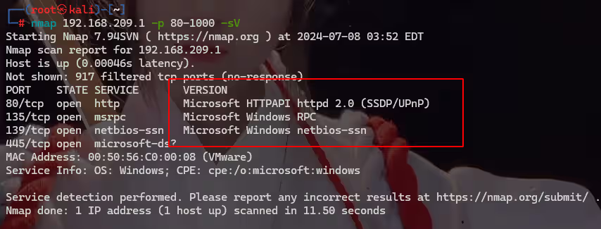 image-20240708155311798