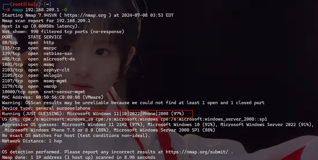 image-20240708155445432