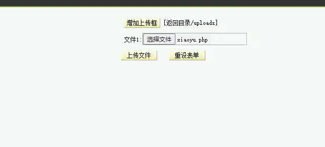 image-20240806104720011