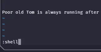 image-20240820131451037