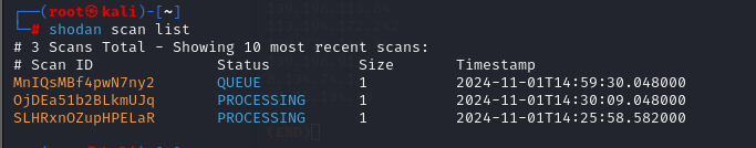 image-20241101053725819