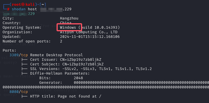 image-20241101232504487