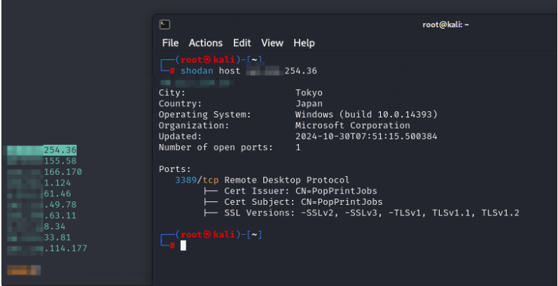 image-20241101233938380