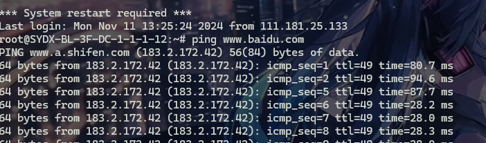 image-20241111214132393