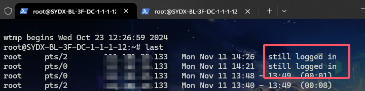 image-20241111222724875