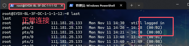 image-20241111223225381