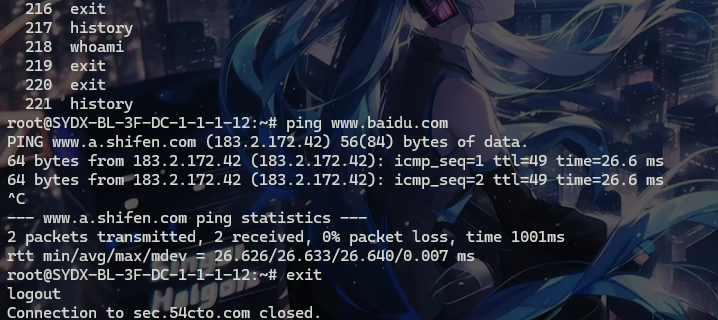 image-20241111234146377