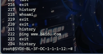 image-20241111234207250