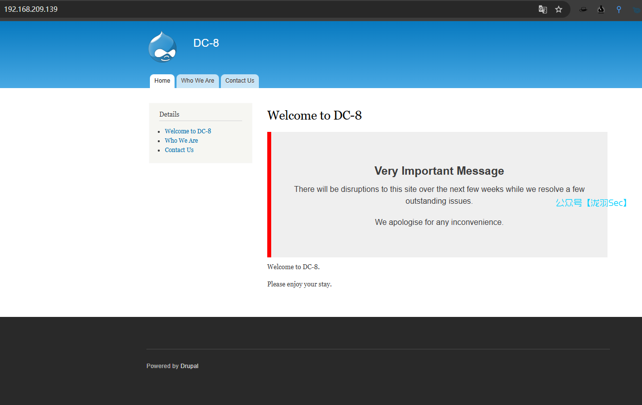 image-20241114113646727