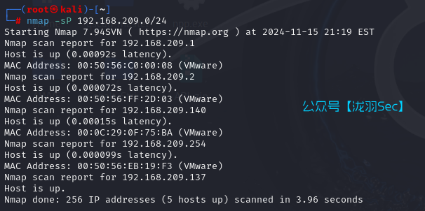 image-20241116102400639