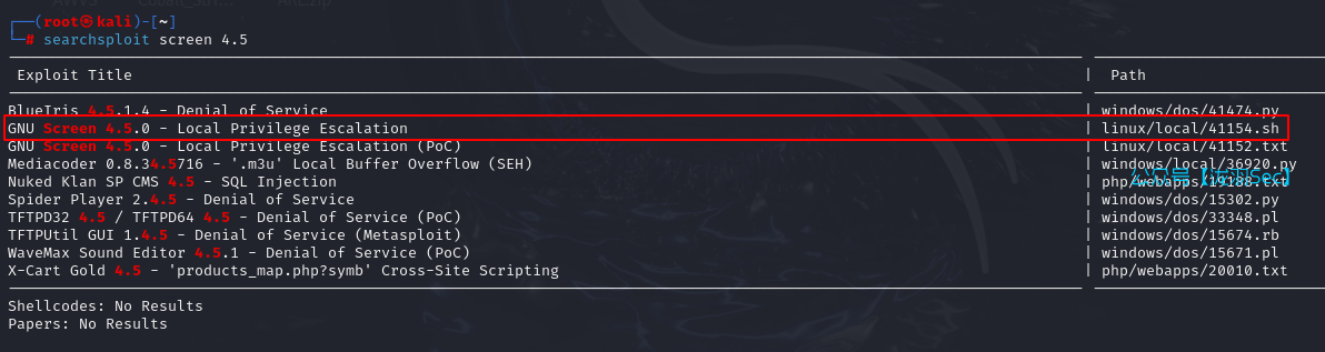 image-20241116131350828