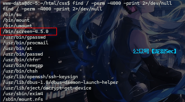 image-20241116155550619