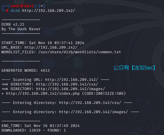 image-20241116164028183