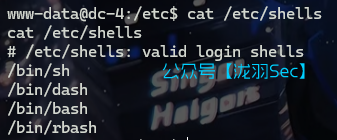 image-20241116174113528