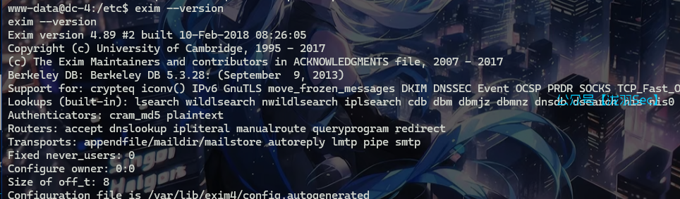 image-20241116174916335