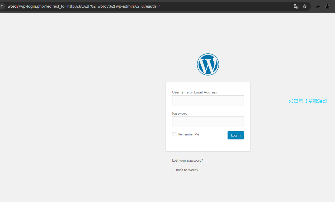 image-20241116205817428