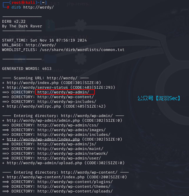 image-20241116205804456