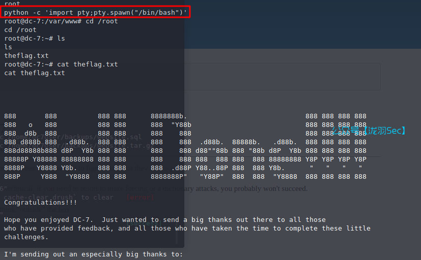 image-20241117171718953