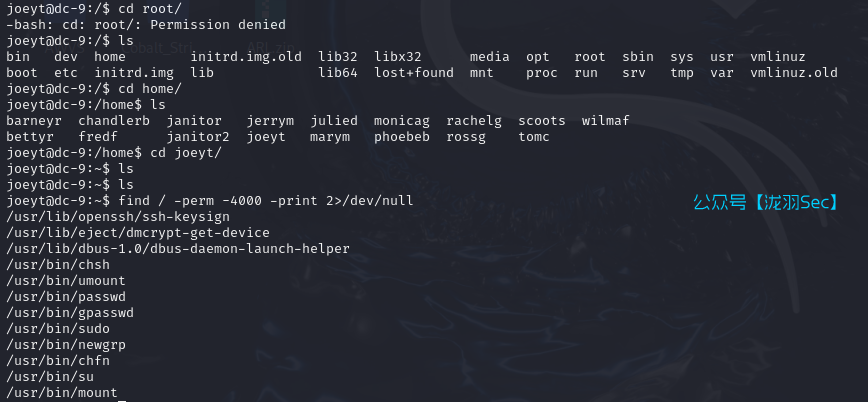 image-20241117220441511