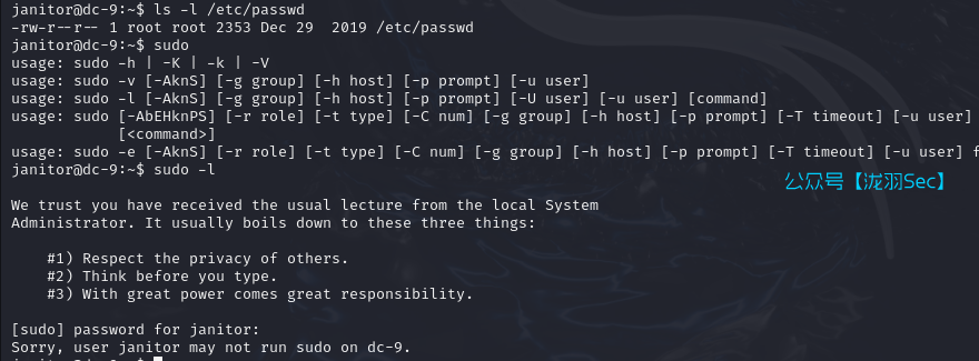 image-20241117220743950