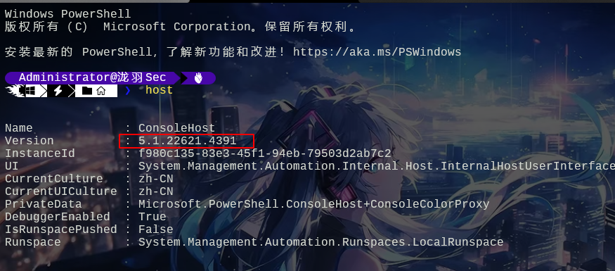 使用oh-my-posh美化Windows终端-泷羽Sec