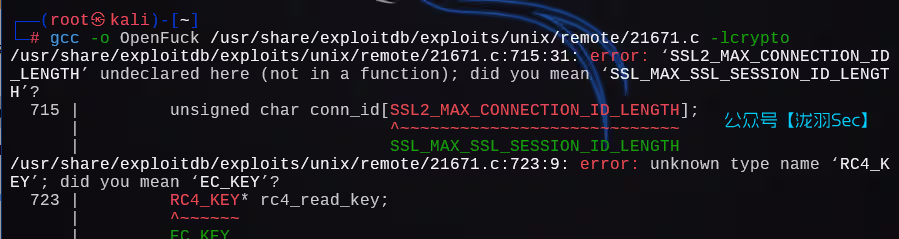 image-20241205010946824