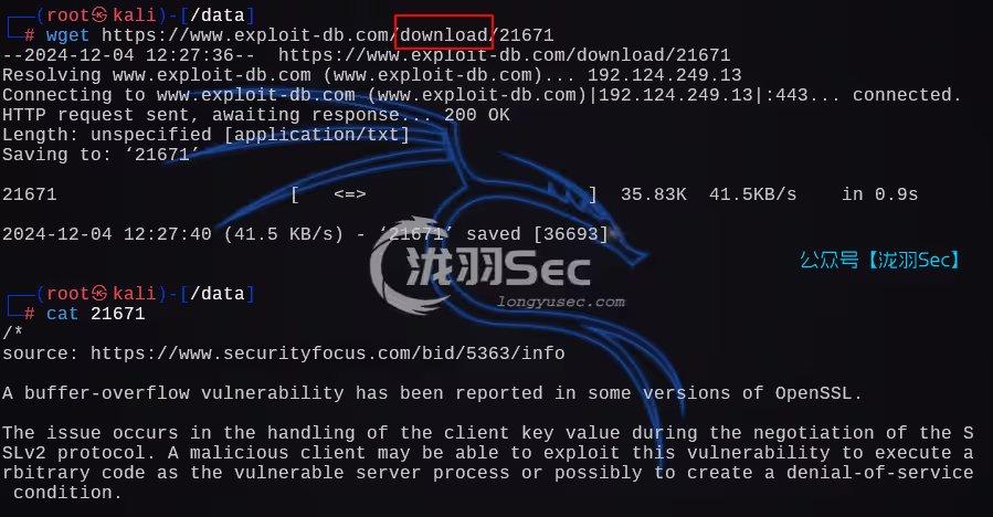 image-20241205012821464