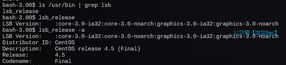 image-20241207064924225