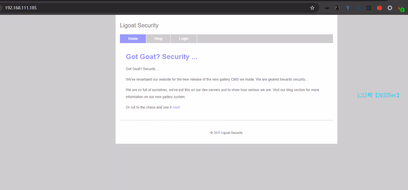 image-20241207170405690