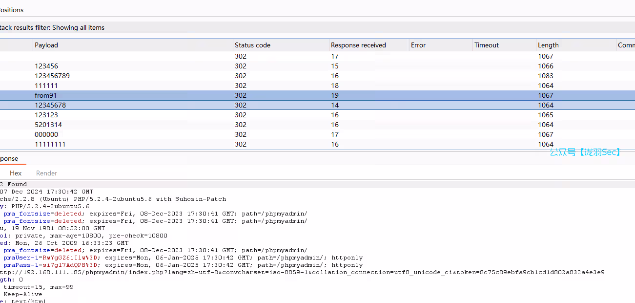 image-20241207173115577