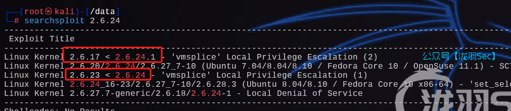 image-20241207215413235