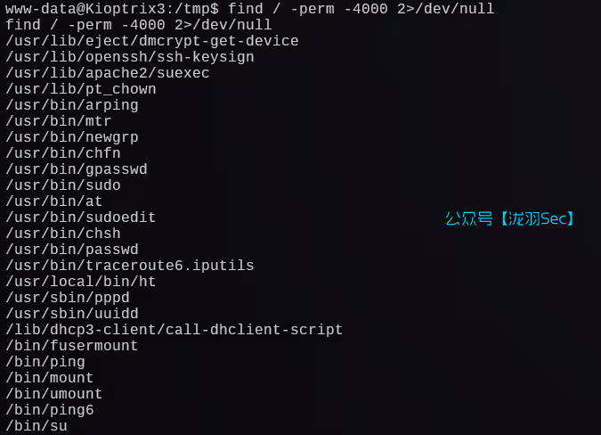 image-20241207221452023