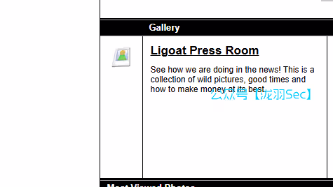 image-20241208021947050