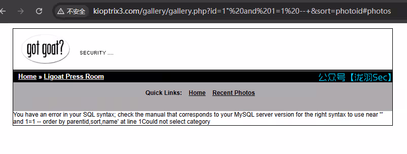 image-20241208022140518